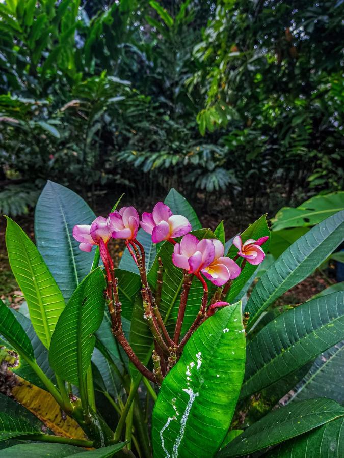 Lodge K'erenda Homet Reserva Natural